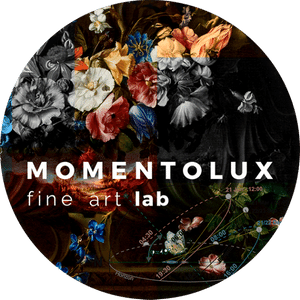 logo momentolux